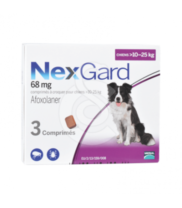 Nexgard Chien L 10-25 kg