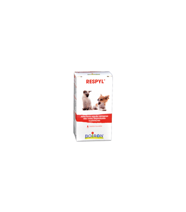 Respyl Solution Buvable