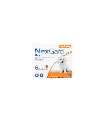 Nexgard Chien S 2-4 kg