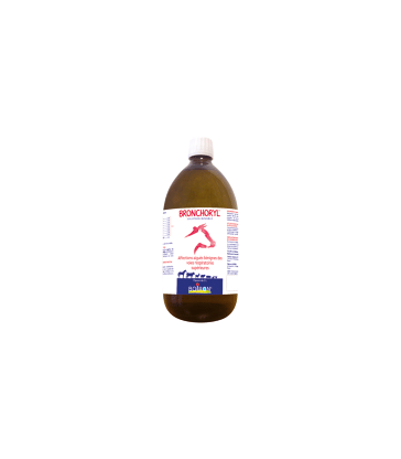 Bronchoryl GA Solution Buvable