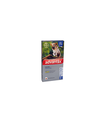 Advantix Grand Chien 25-40 kg