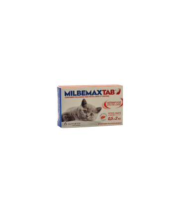 Vermifuge Pour Chat Animostore