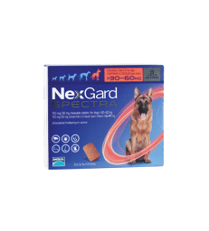 Nexgard Spectra Chien XL 30-60 kg . Boîte de 1 blister 3 comprimés