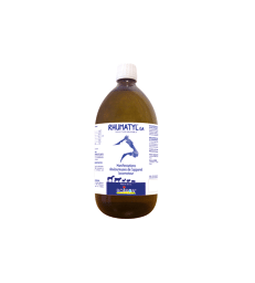 Rhumatyl GA Solution Buvable .Flacon de 1 L