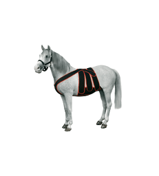 Bandage Equine Post Colic Surgery Kit .Taille L - Tour Sangle de 200 à 240 cm - Cheval