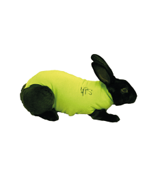 Gilet Pet Shirt pour lapin .L - de + de 4,6kg - Vert