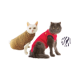 Gilet Pet Shirt pour chat