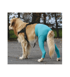 Gilet Protection arrière VetMedCare pour chien .Taille S+ - Vert