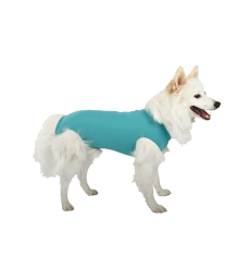 Gilet DogBody VetMedCare pour chien .Sans manches - Taille M - Lg : 55-63 cm - Vert