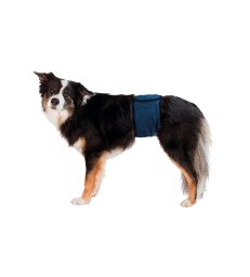 Bande ventrale pour chien mâle .Taille S-M - Tour de ventre : 37/45 cm - Bleu