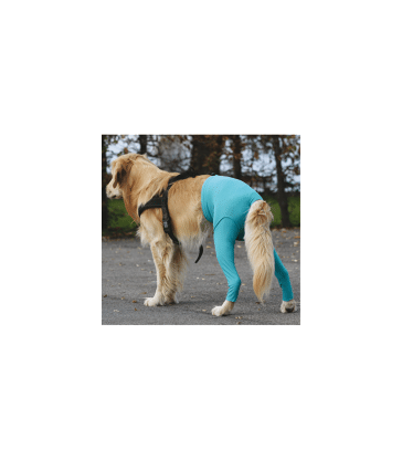 Gilet Protection arrière VetMedCare pour chien