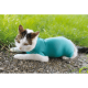 Gilet CatBody VetMedCare pour chat