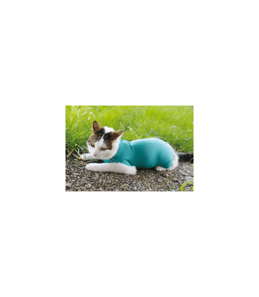 Gilet CatBody VetMedCare pour chat