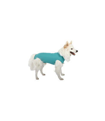 Gilet DogBody VetMedCare pour chien