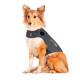 Gilet anti-anxiété ThunderShirt pour chien