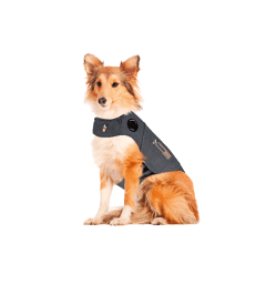 Gilet anti-anxiété ThunderShirt pour chien .de 19 à 29 kg - Tour de Poitrine : 63 à 76 cm - L - Gris foncé