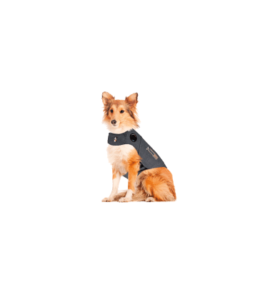 Gilet anti-anxiété ThunderShirt pour chien