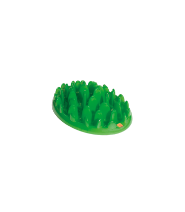 Gamelle Green Slow Dog pour chien