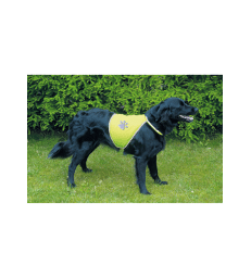 Gilet de sécurité pour chien .M - Tour de cou : 42 à 48 cm - Ventre : 48 à 66 cm - Jaune