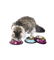 Gamelle en inox laqué Tête de chat .H : 3,5 cm - D : 16 cm - 200 ml - Rose