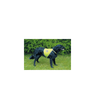 Gilet de sécurité pour chien