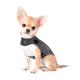 Gilet anti-anxiété ThunderShirt pour chien