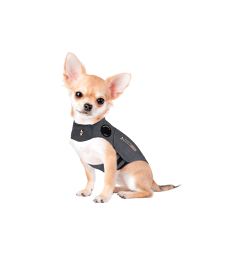 Gilet anti-anxiété ThunderShirt pour chien .&lt; à 3 kg - Tour de Poitrine : 23 à 33 cm - XXS - Gris foncé