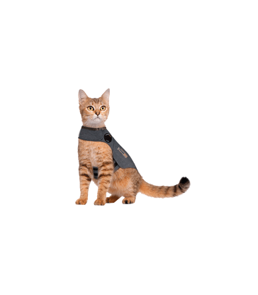 Gilet anti-anxiété ThunderShirt pour chat