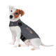 Gilet anti-anxiété ThunderShirt pour chien