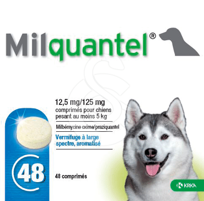 Milquantel 12 5 125 Mg Chien 5kg