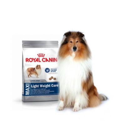 Royal Canin Maxi Light