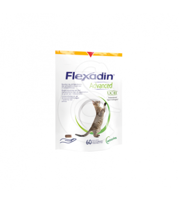 Flexadin Advanced Chat