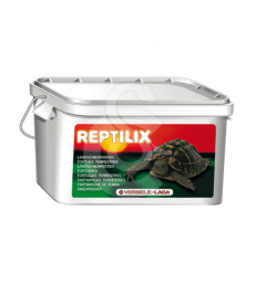 Reptilix Tortues