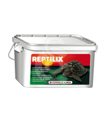 Reptilix Tortues