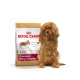 Royal Canin Cavalier King Charles