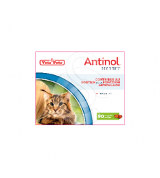 Antinol chat