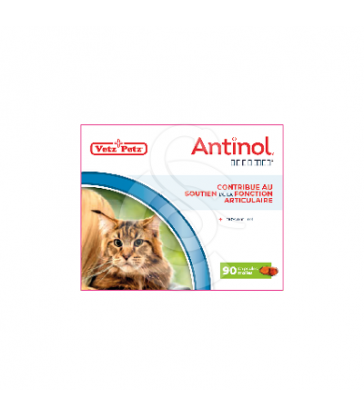 Antinol chat